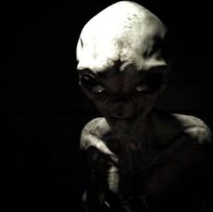 Meet your Posher, Nickolas